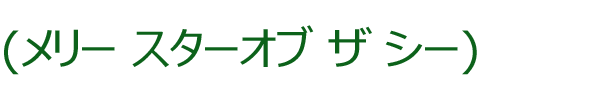 スターオブザシー